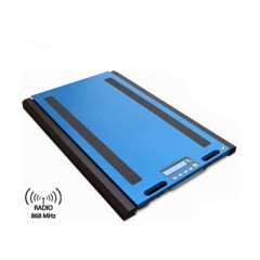 Nápravová váha DINI ARGEO WWSERF 30t (3)