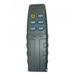 Jeřábová váha CASTON II 2TM (2)