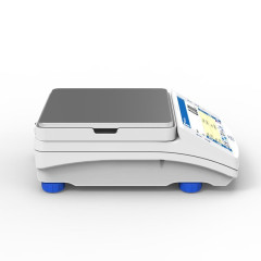 Přesná váha RADWAG PS 4500.X2.M (3)